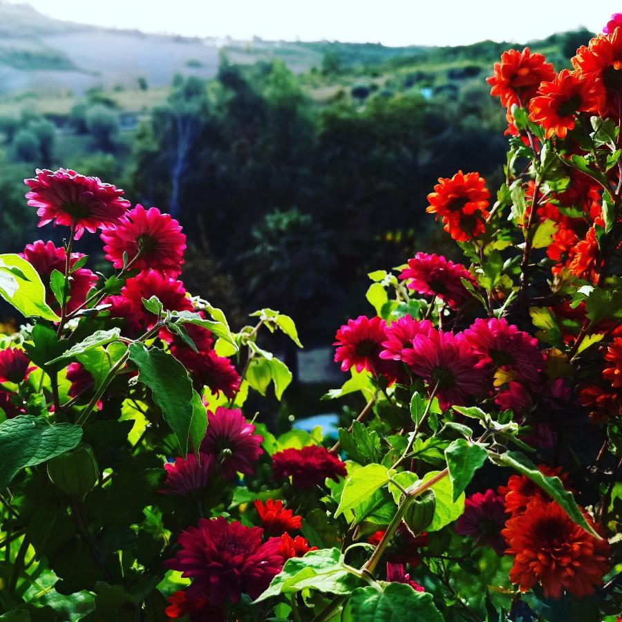 Quinta Do Vale Encantado "The Valley" - Santarem - Portugal Calhariz 외부 사진