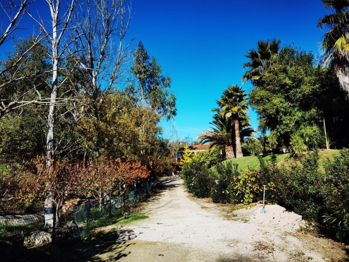 Quinta Do Vale Encantado "The Valley" - Santarem - Portugal Calhariz 외부 사진
