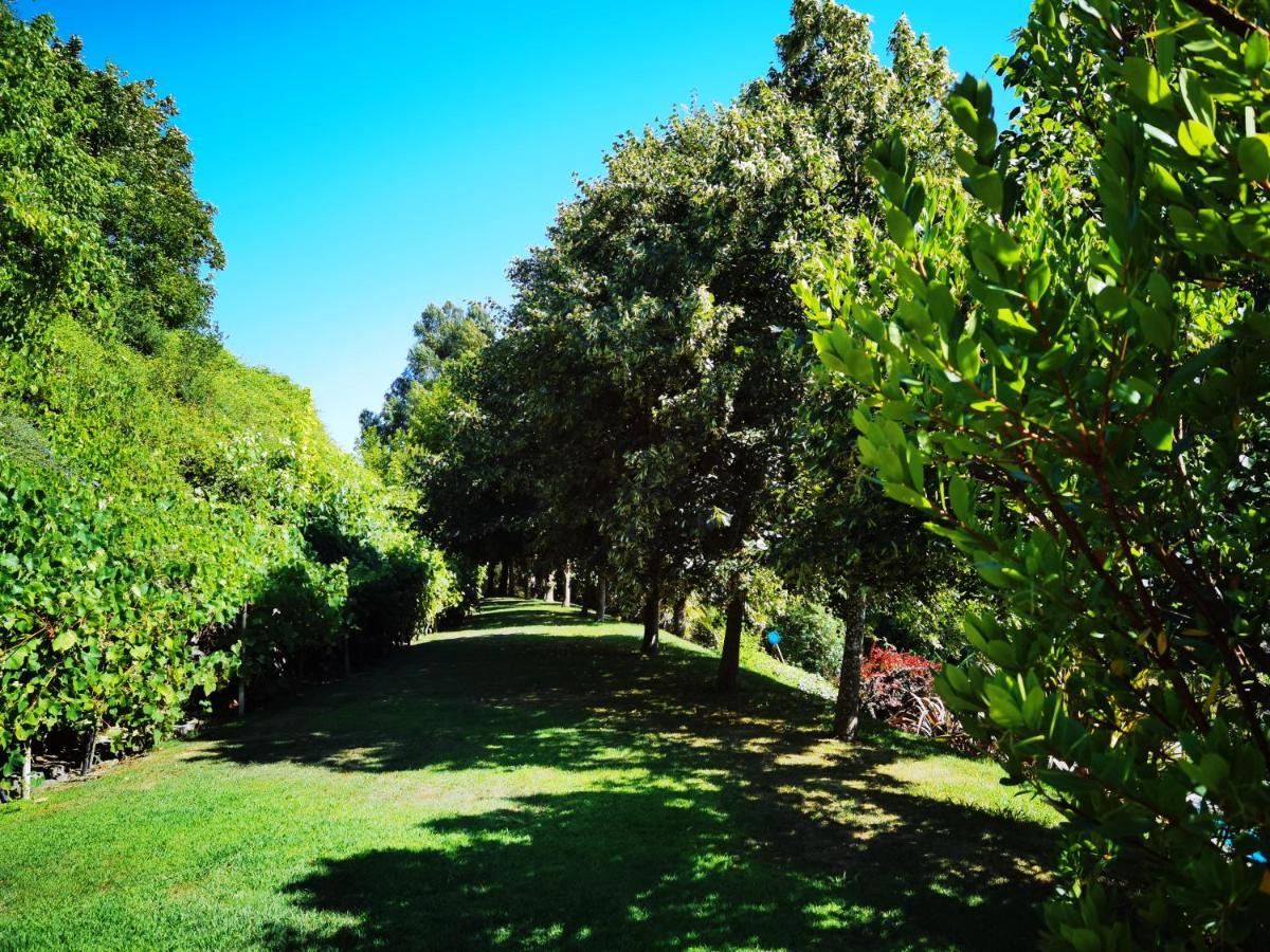 Quinta Do Vale Encantado "The Valley" - Santarem - Portugal Calhariz 외부 사진
