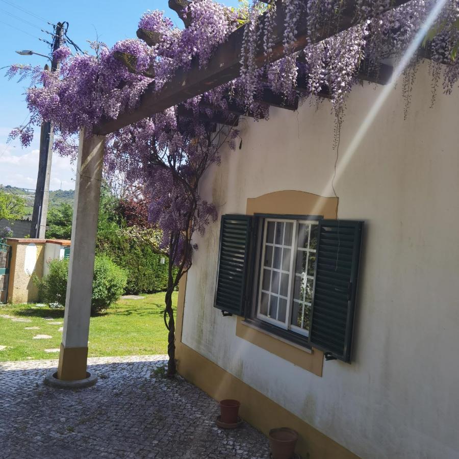 Quinta Do Vale Encantado "The Valley" - Santarem - Portugal Calhariz 외부 사진