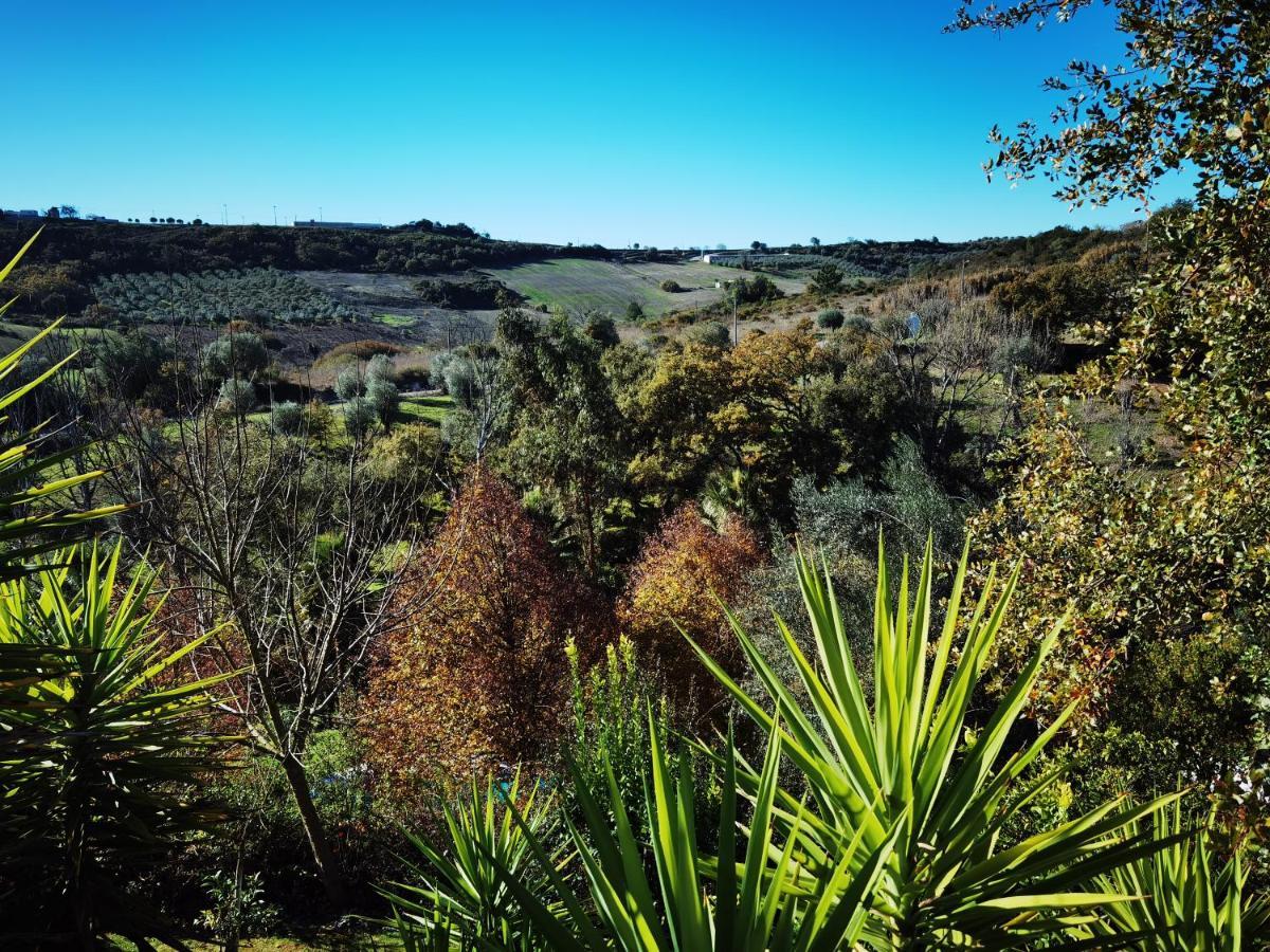 Quinta Do Vale Encantado "The Valley" - Santarem - Portugal Calhariz 외부 사진